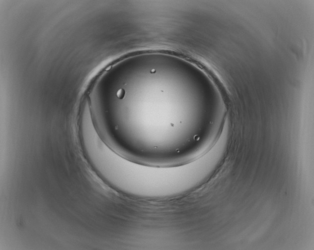 X0000115221460200911121915