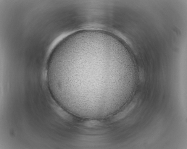 X0000115221462200911121915