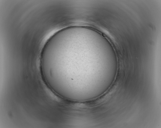 X0000115221463200911121915