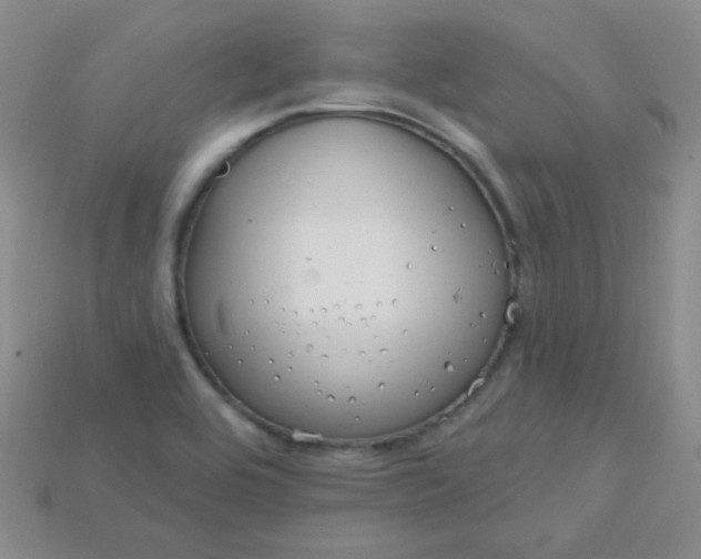 X0000115221464200911121915