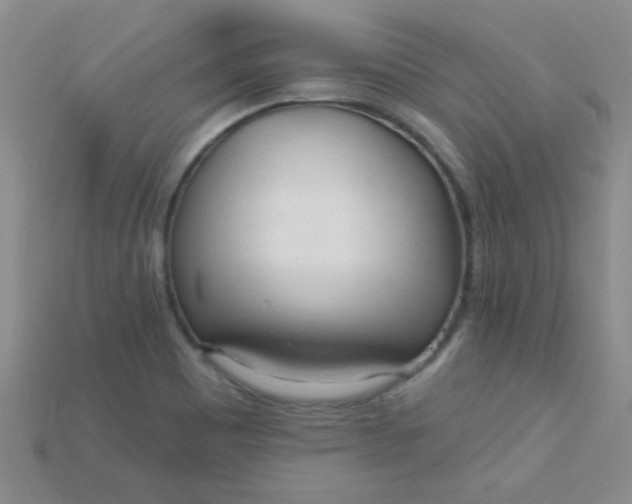 X0000115221465200911121915