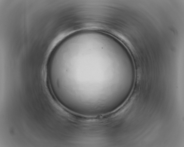 X0000115221467200911121915