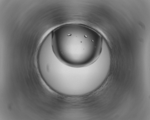 X0000115221468200911121915