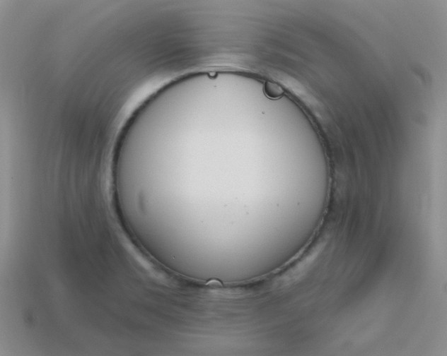 X0000115221469200911121915