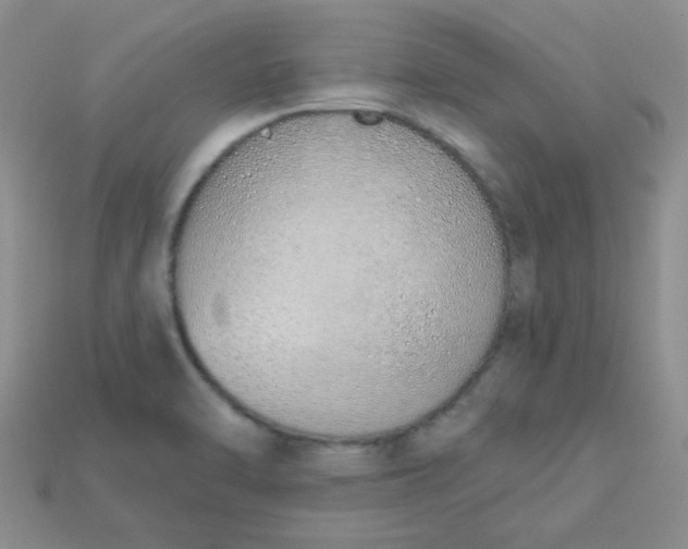 X0000115221470200911121915