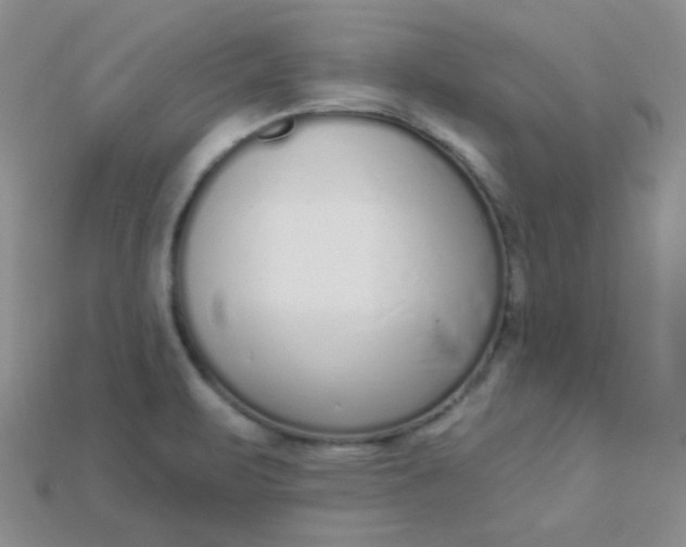 X0000115221471200911121915