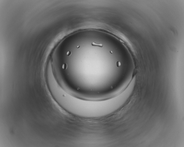 X0000115221472200911121915
