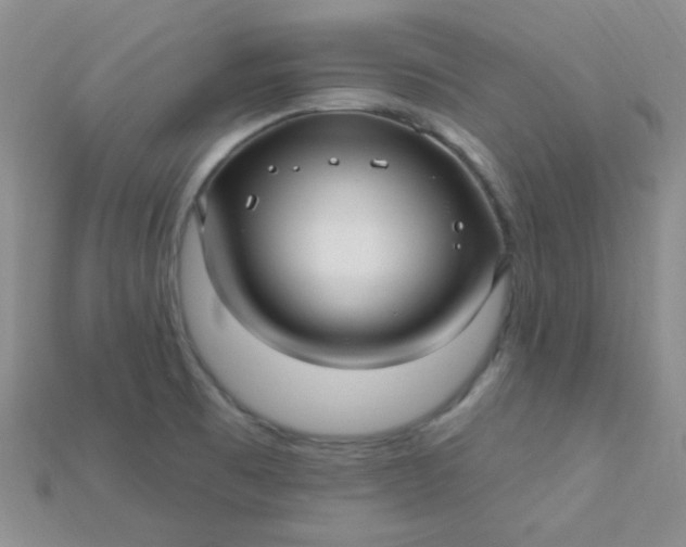 X0000115221473200911121915