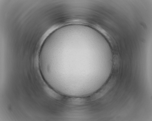 X0000115221474200911121915