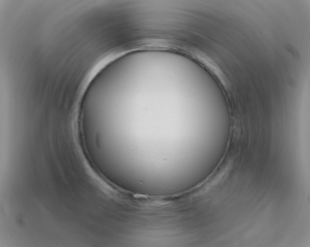 X0000115221475200911121915