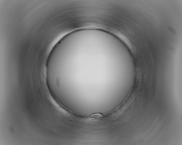 X0000115221476200911121915
