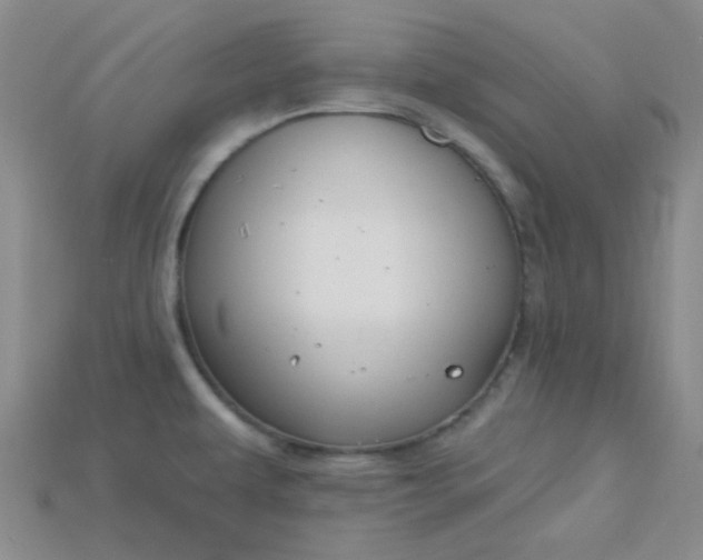X0000115221479200911121914