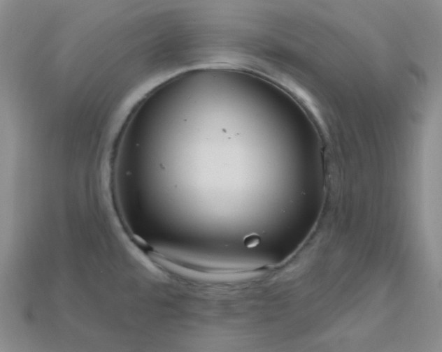 X0000115221480200911121914