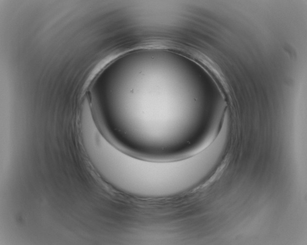 X0000115221481200911121914