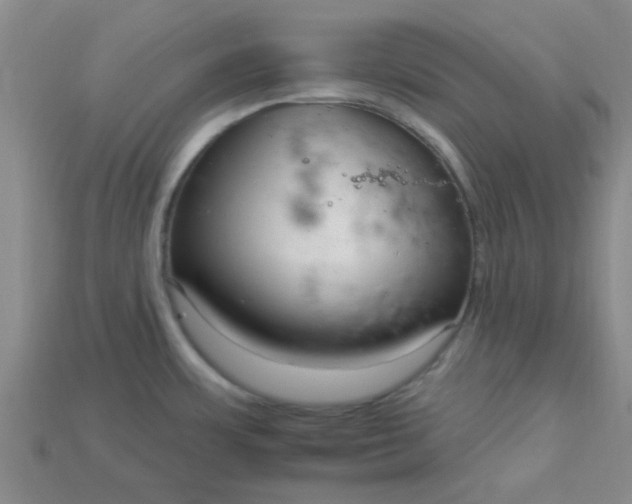 X0000115221483200911121914
