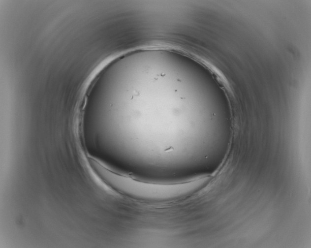 X0000115221484200911121914