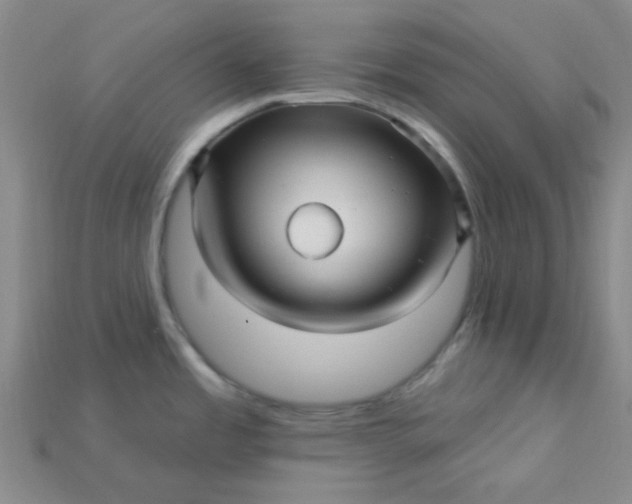 X0000115221485200911121914