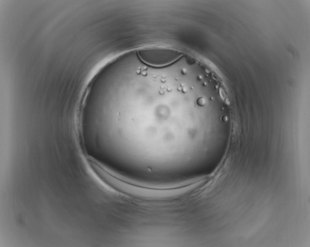 X0000115221487200911121914