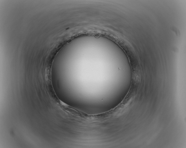 X0000115221490200911121914