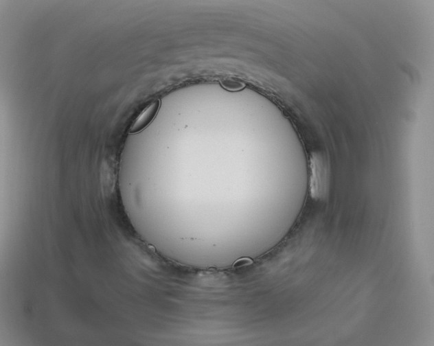 X0000115221491200911121914