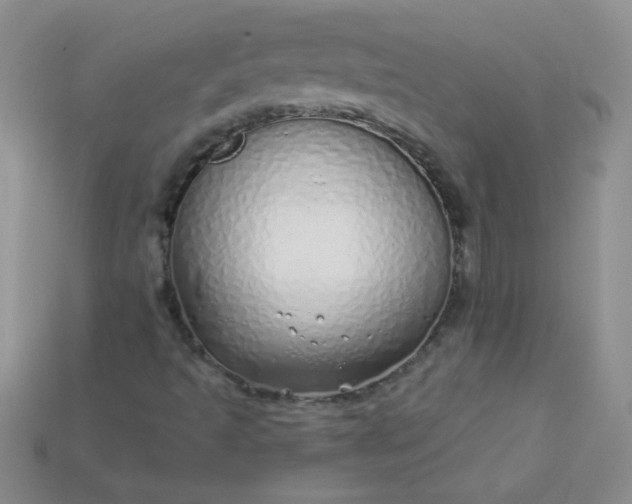 X0000115221493200911121914