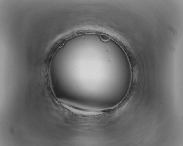 X0000115221494200911121914