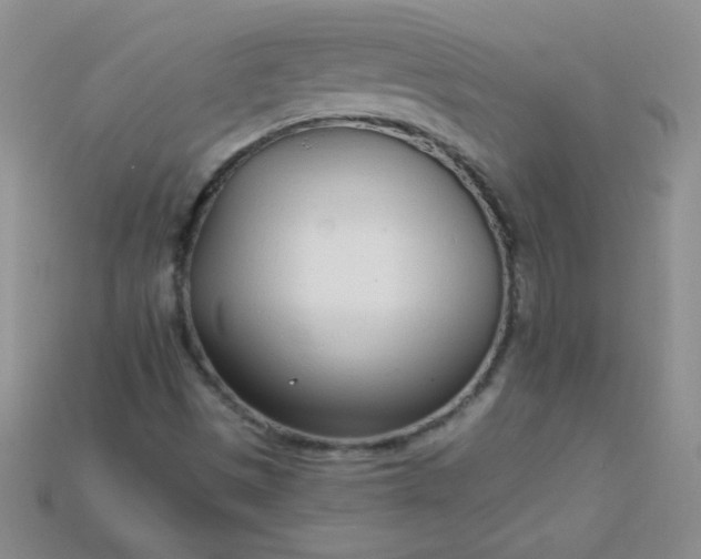 X0000115221497200911121914