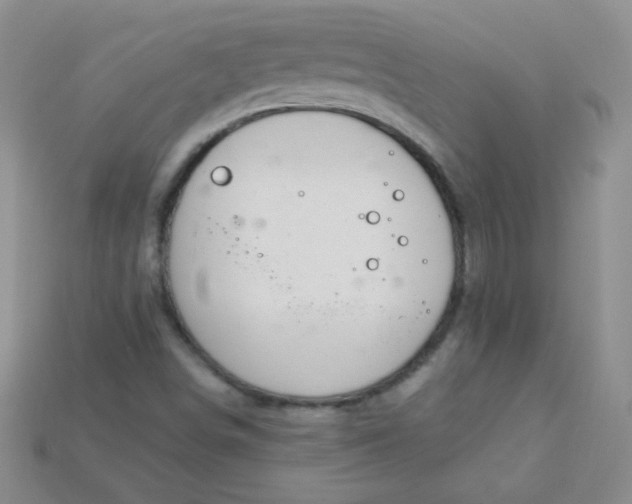 X0000115221498200911121914