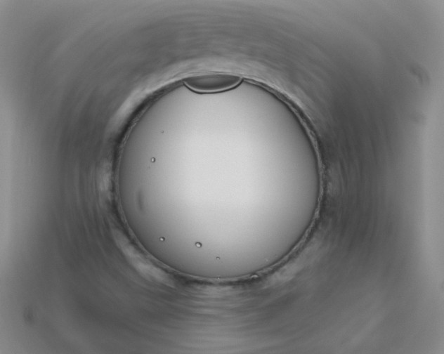 X0000115221499200911121914