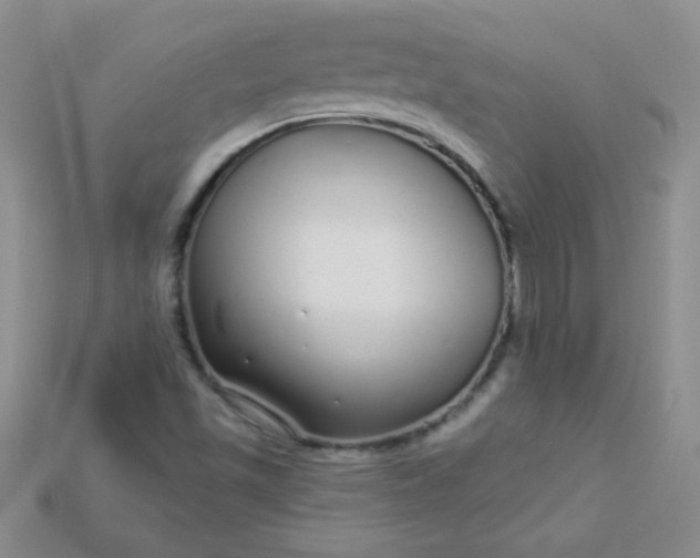 X0000115221501200911121914