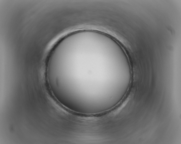 X0000115221502200911121914