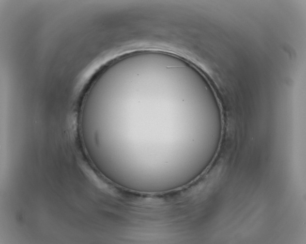 X0000115221503200911121914