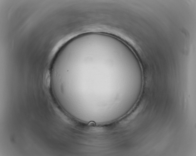X0000115221509200911121914