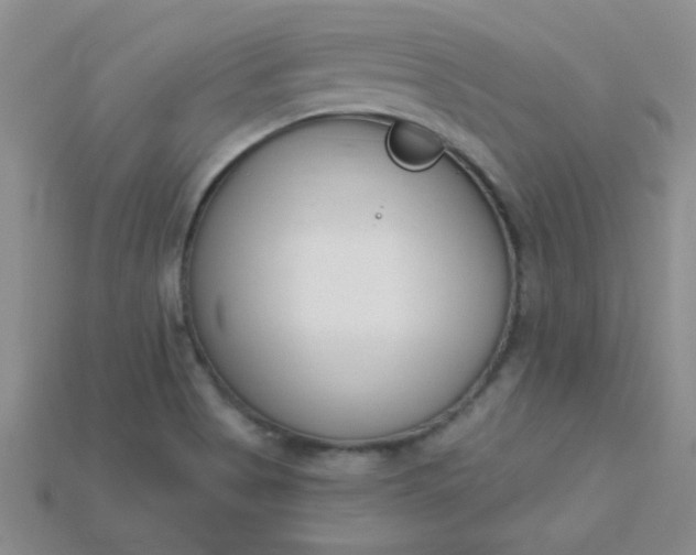 X0000115221513200911121914