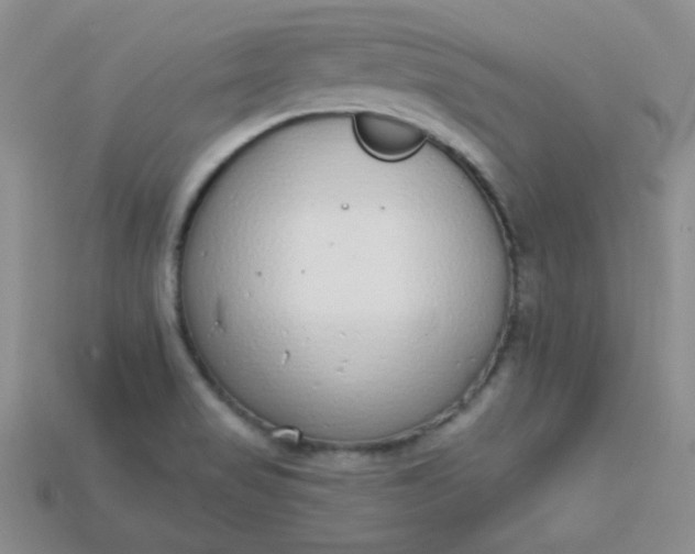 X0000115221517200911121914