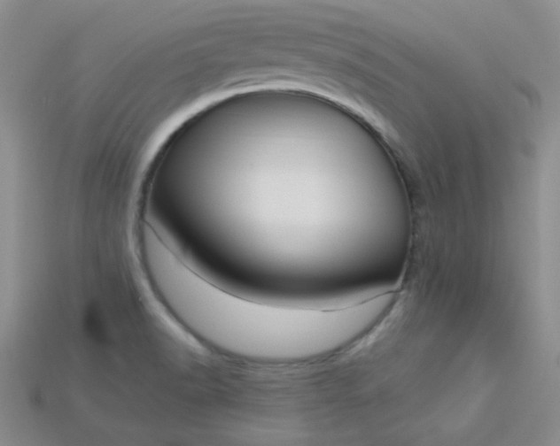 X0000115221518200911121914
