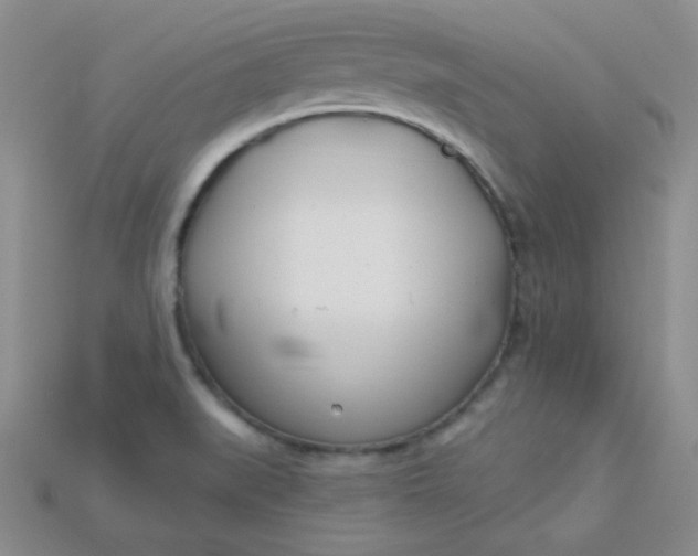 X0000115221519200911121914