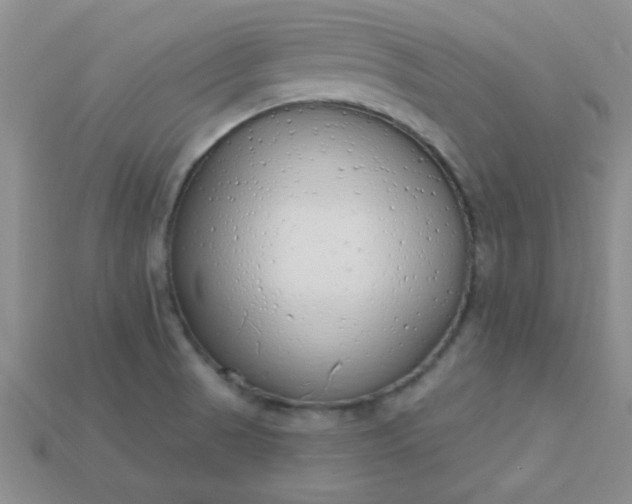 X0000115221521200911121914