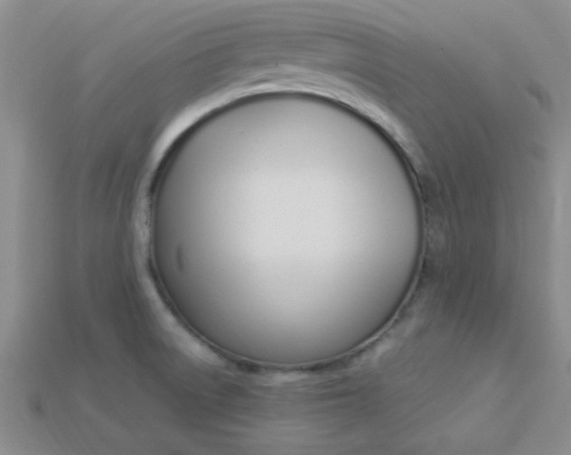 X0000115221522200911121914