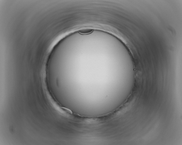 X0000115221523200911121914
