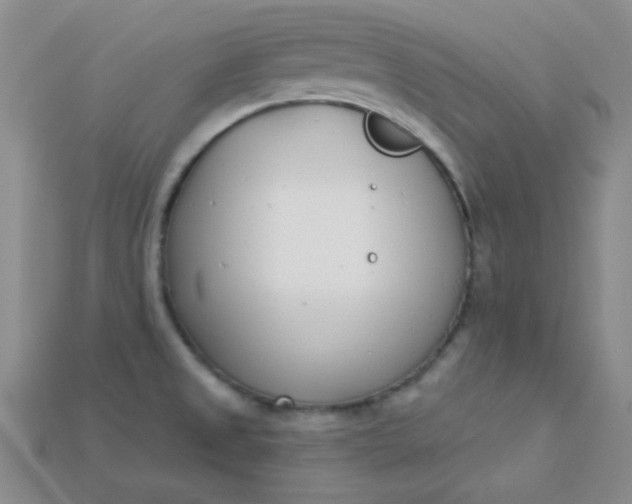 X0000115221525200911121914