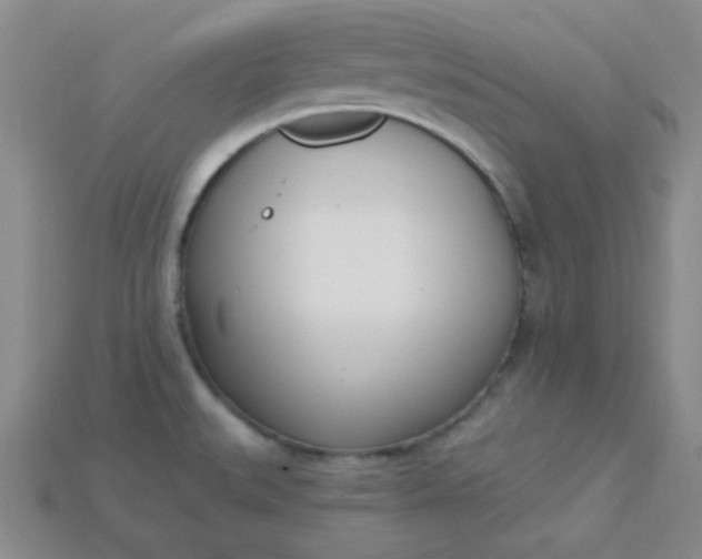 X0000115221527200911121914