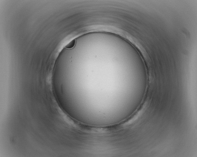 X0000115221529200911121914