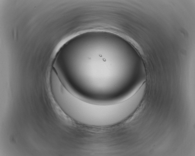 X0000115221530200911121914