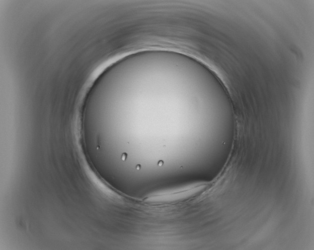 X0000115221531200911121914