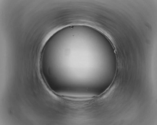 X0000115221533200911121914