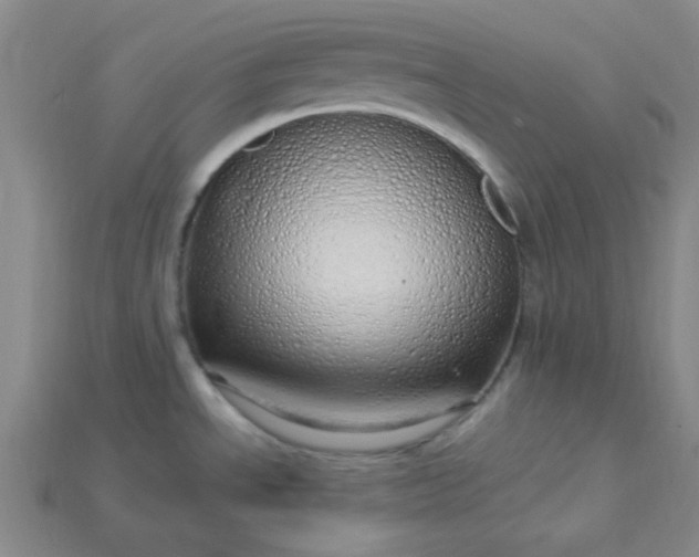 X0000115221534200911121914
