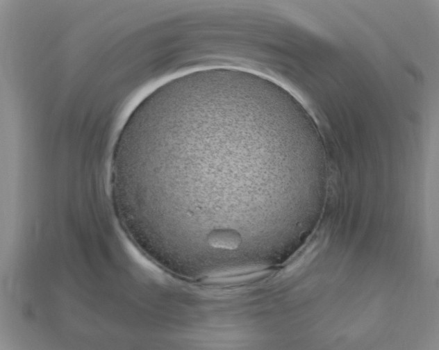 X0000115221535200911121914