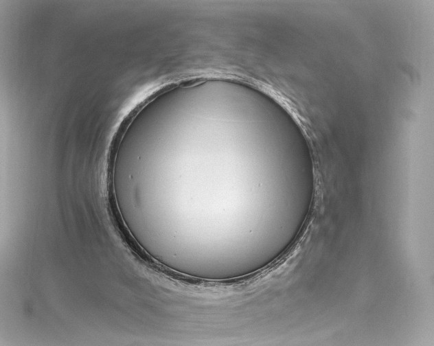 X0000115220008200911181558