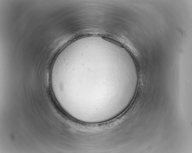 X0000115220014200911181558